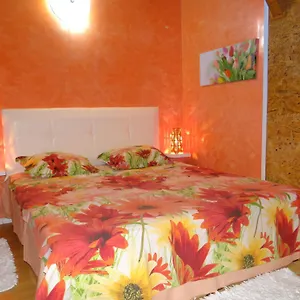 Orange Flower , Sofia Bulgaria